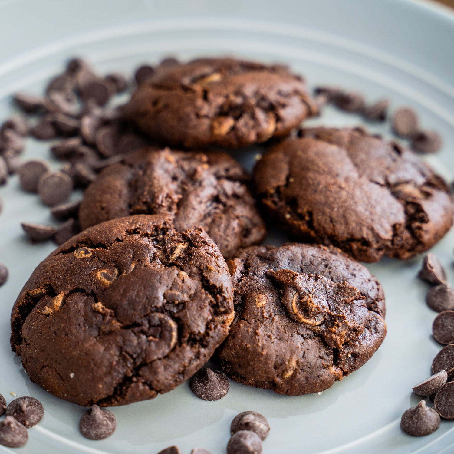 Frozen - Cookie Dough - Chocolate Ginger Molasses*