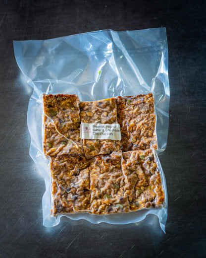 Frozen - Blueberry &amp; Cranberry Oat Bars w/Coconut, Dates, Nuts &amp; Seeds